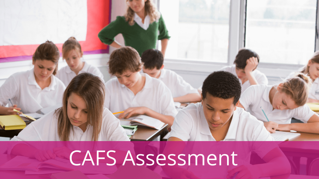 CAFS assessment